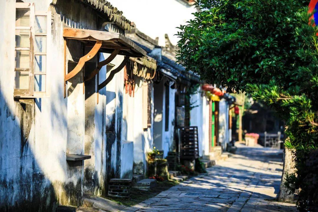 命运骰子